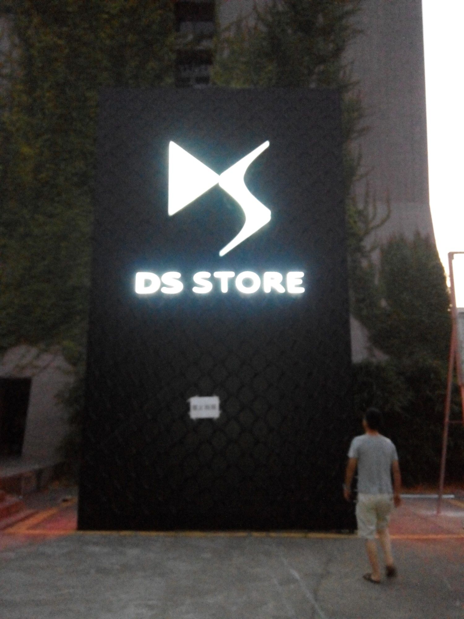 DS Background Wall – Night time Effect